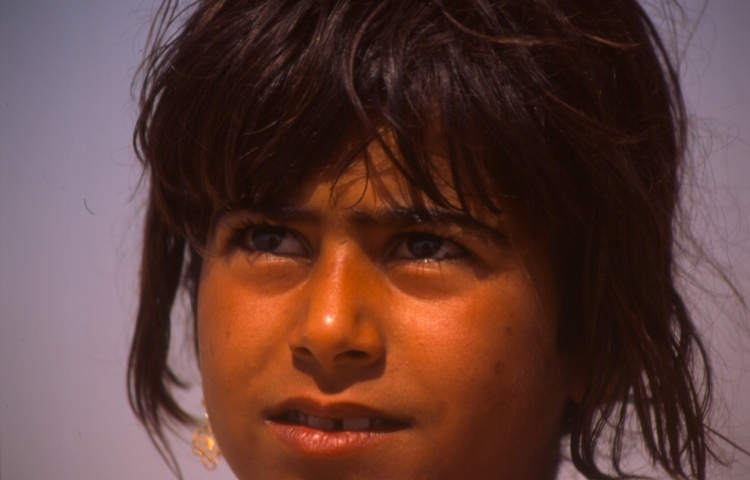 صور من ابداع اعضاء عمان فوتو
