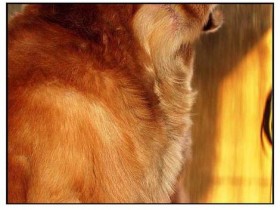 صور منوعة من الإنترنت