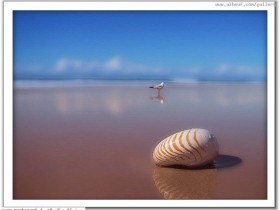 nice_pic_design_photo_68_1_