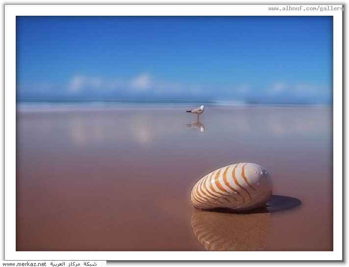 nice_pic_design_photo_68_1_