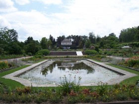 صور من ابداع اعضاء عمان فوتو