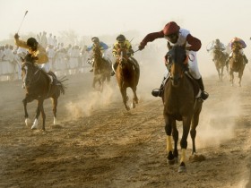صور من ابداع اعضاء عمان فوتو
