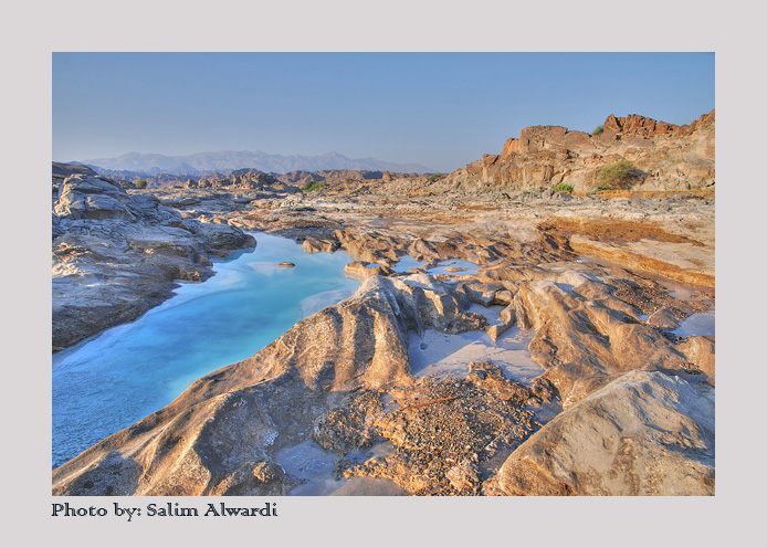 صور من ابداع اعضاء عمان فوتو