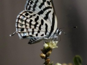 صور من ابداع اعضاء عمان فوتو