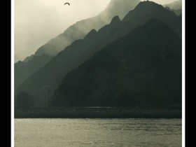 صور من ابداع اعضاء عمان فوتو