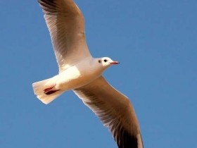 صور من ابداع اعضاء عمان فوتو