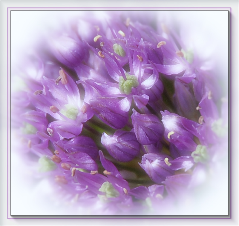 صور منوعة من الإنترنت