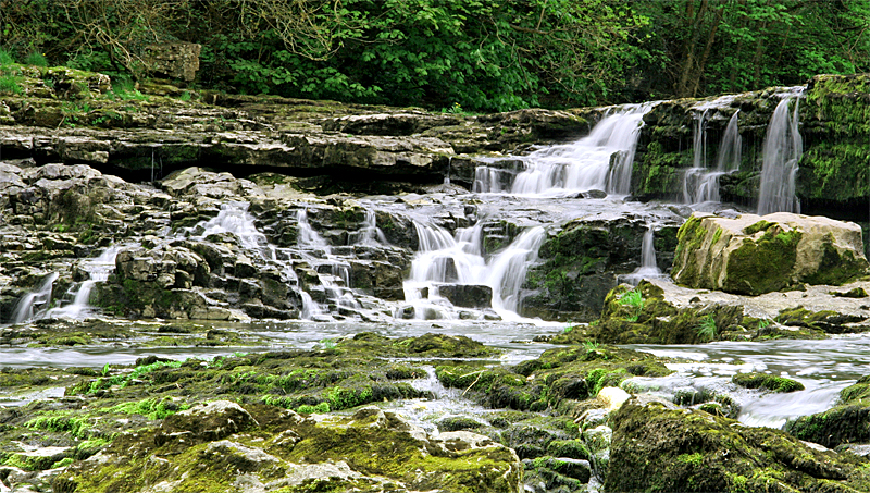 صور منوعة من الإنترنت