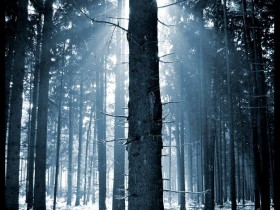 rays_of_reflection_by_ssilence