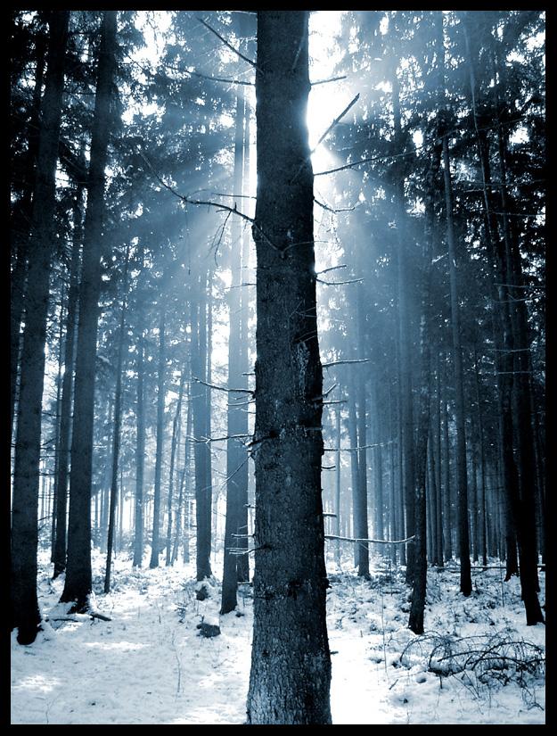 rays_of_reflection_by_ssilence