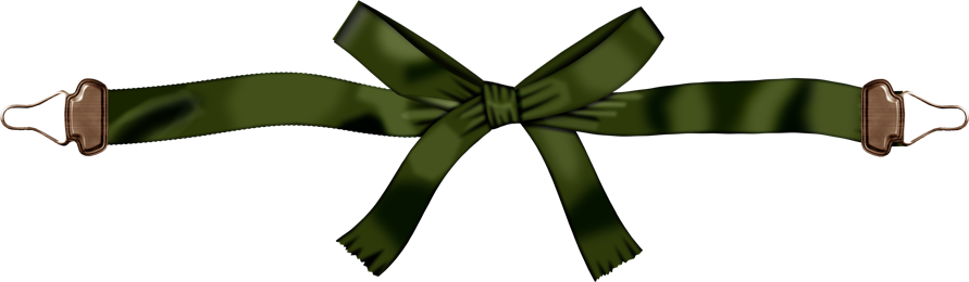 BVS_naturepower_buckledribbon01