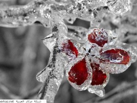 nice_pic_design_photo_91_1_