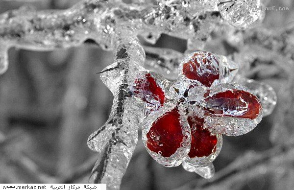 nice_pic_design_photo_91_1_