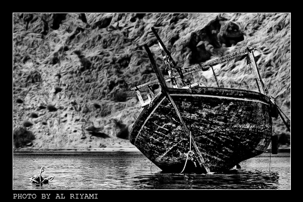 صور من ابداع اعضاء عمان فوتو