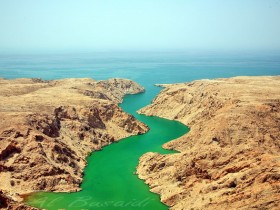 صور من ابداع اعضاء عمان فوتو