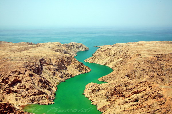صور من ابداع اعضاء عمان فوتو