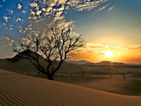 صور من ابداع اعضاء عمان فوتو