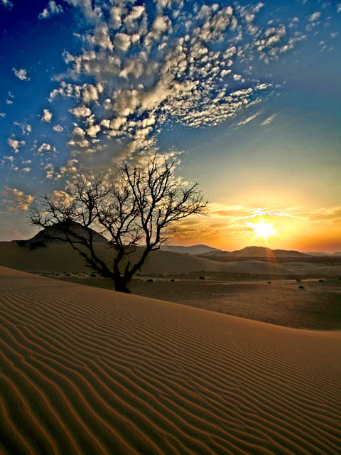 صور من ابداع اعضاء عمان فوتو