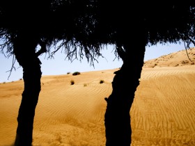 صور من ابداع اعضاء عمان فوتو