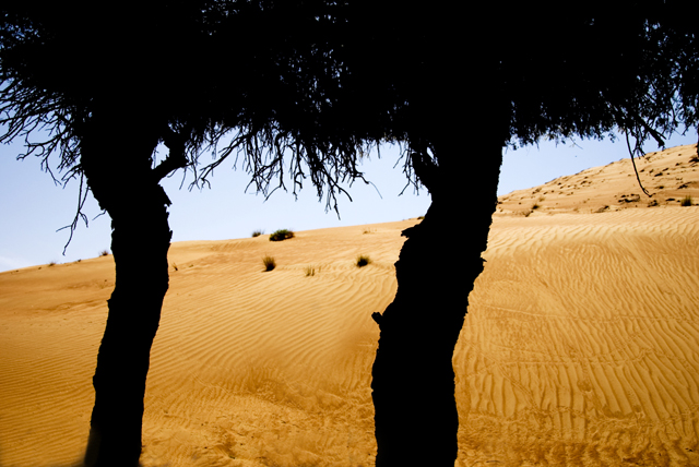 صور من ابداع اعضاء عمان فوتو
