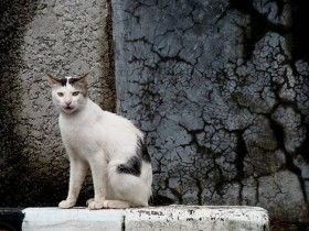 صور منوعة من الإنترنت