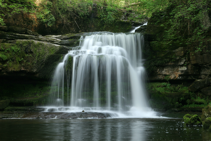صور منوعة من الإنترنت