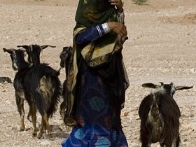 صور من ابداع اعضاء عمان فوتو