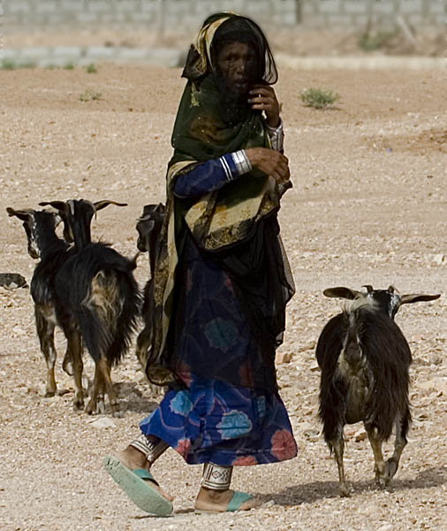 صور من ابداع اعضاء عمان فوتو