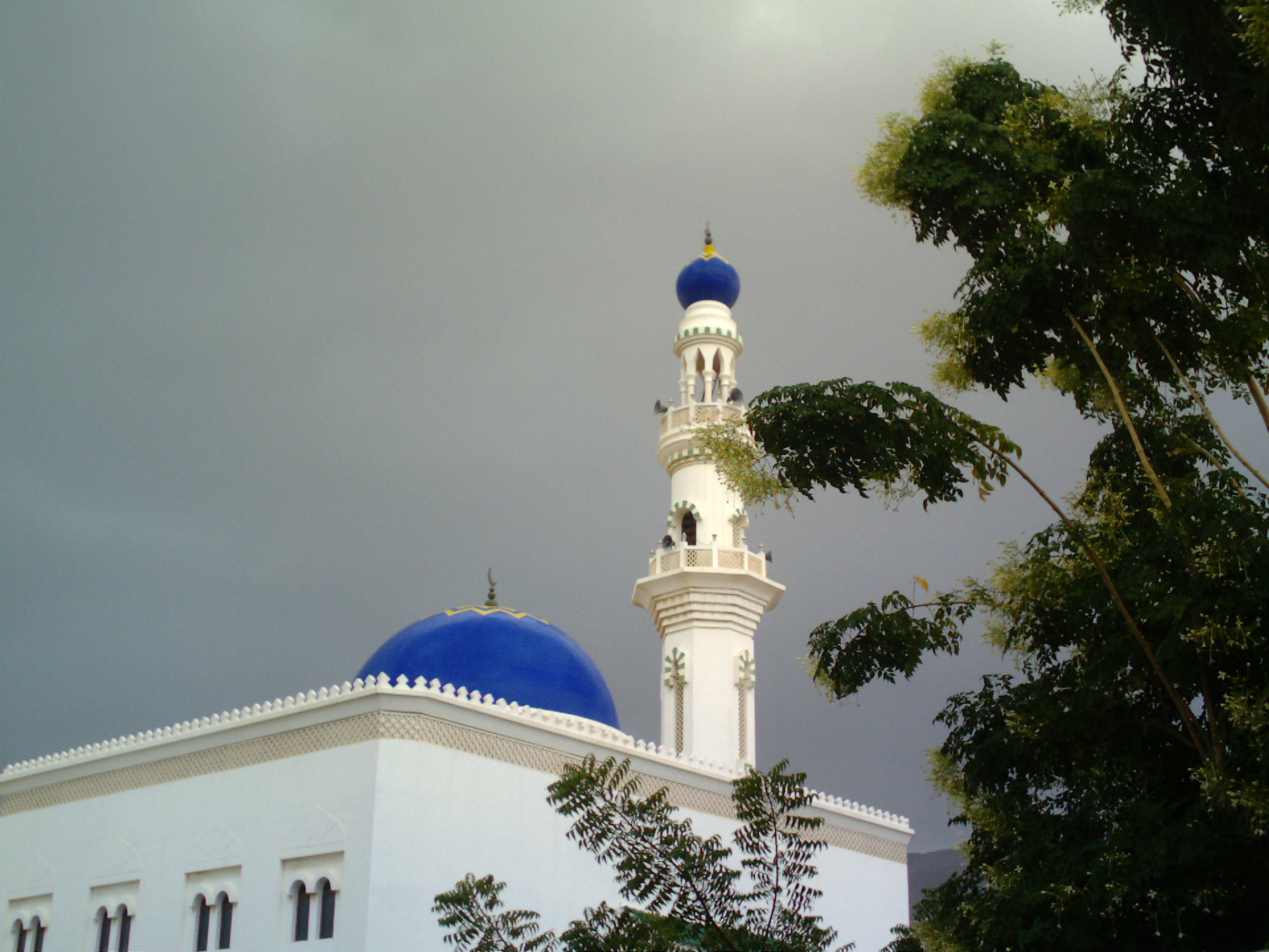 صور من ابداع اعضاء عمان فوتو