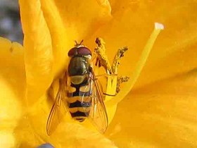 صور منوعة من الإنترنت