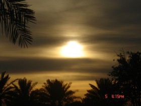 346919665_6a5f0b61ca
