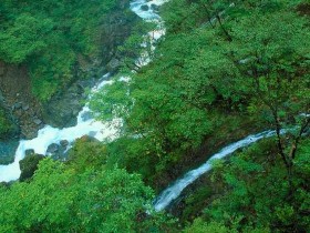 w6w20060429013114dc33b93e_1_