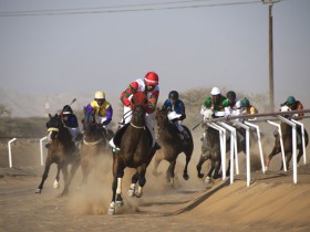 صور من ابداع اعضاء عمان فوتو