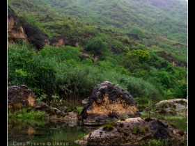 صور من ابداع اعضاء عمان فوتو