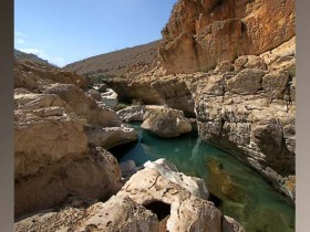 صور من ابداع اعضاء عمان فوتو