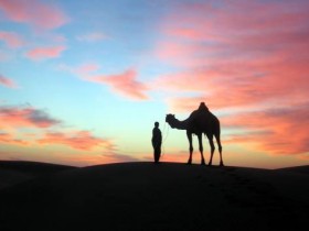 صور منوعة من الإنترنت