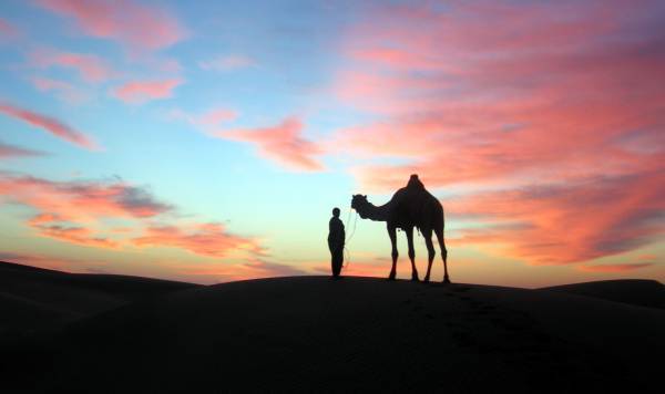 صور منوعة من الإنترنت