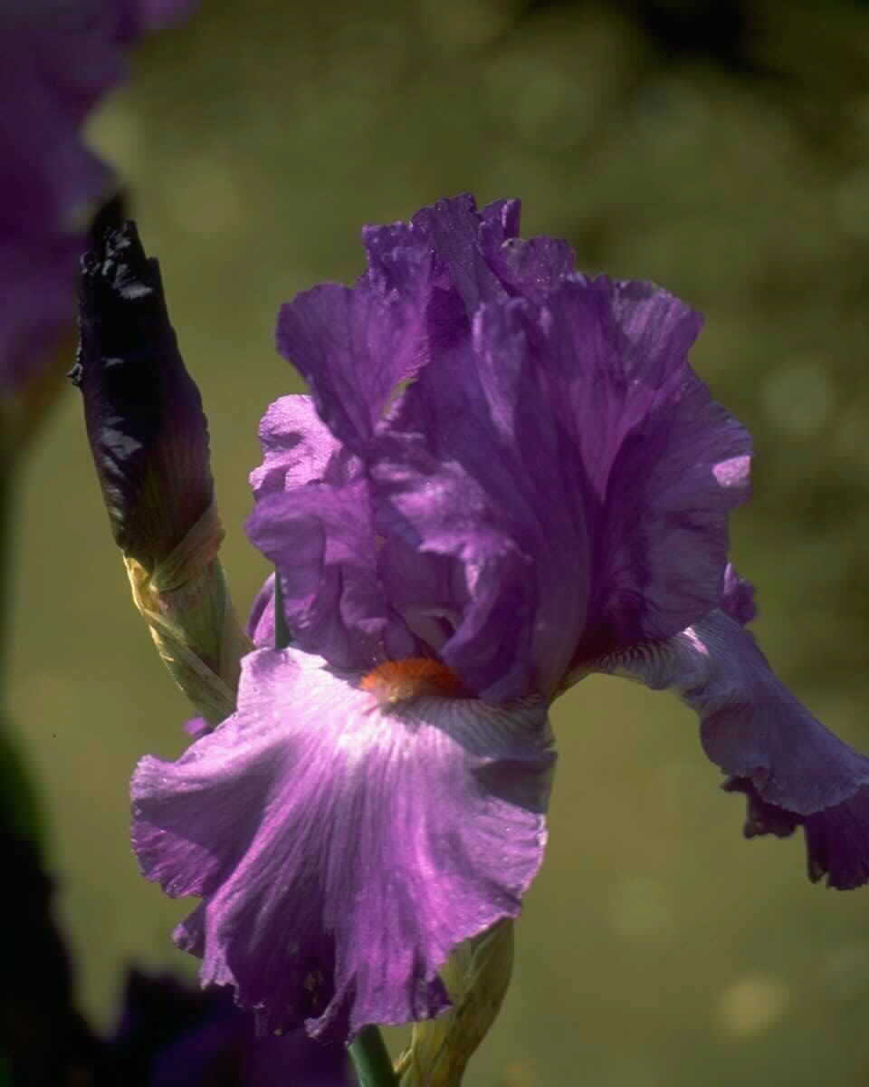 PTBL0130
