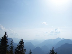 صور من ابداع اعضاء عمان فوتو