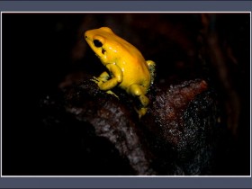 صور من ابداع اعضاء عمان فوتو