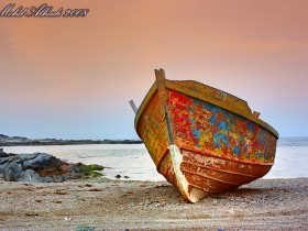 صور من ابداع اعضاء عمان فوتو