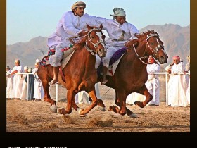 صور من ابداع اعضاء عمان فوتو