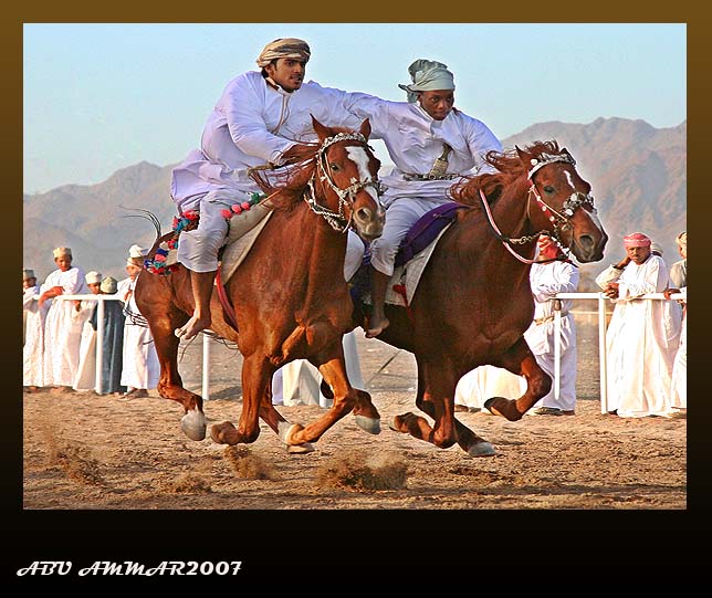 صور من ابداع اعضاء عمان فوتو