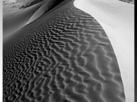 صور من ابداع اعضاء عمان فوتو