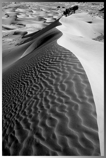 صور من ابداع اعضاء عمان فوتو