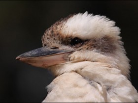 صور منوعة من الإنترنت
