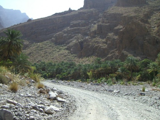 طريق الي وادي محوت