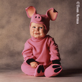 Pig