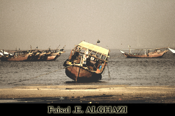 صور من ابداع اعضاء عمان فوتو