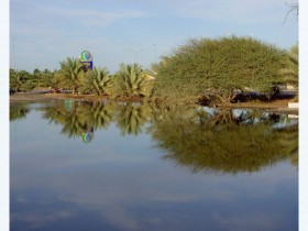صور من ابداع اعضاء عمان فوتو